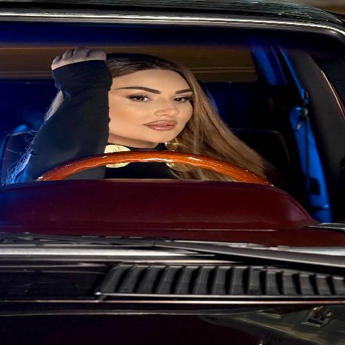 دانلود آهنگ شبنم تووزلو - بیر بیلسن اله داریخمیشام سنسیز
